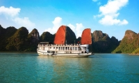 Apricot cruise 3 star